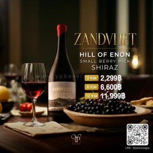 ZANDVLIET HILL OF ENON SMALL BERRY PICK SHIRAZ